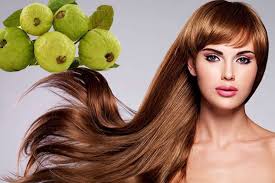 الغوافة …مكمل غذائي لصحتنا  .