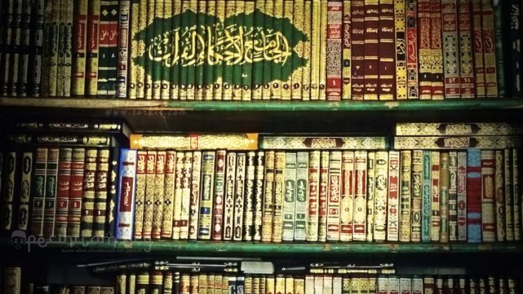 ( الاقصوصة) في الادب العربي اختصار مسافة بين الرواية والقصة .