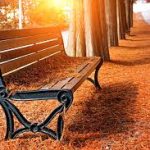 المقعد …… الفارغ